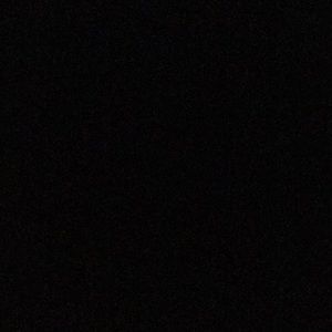 Meet your Posher, Annalee